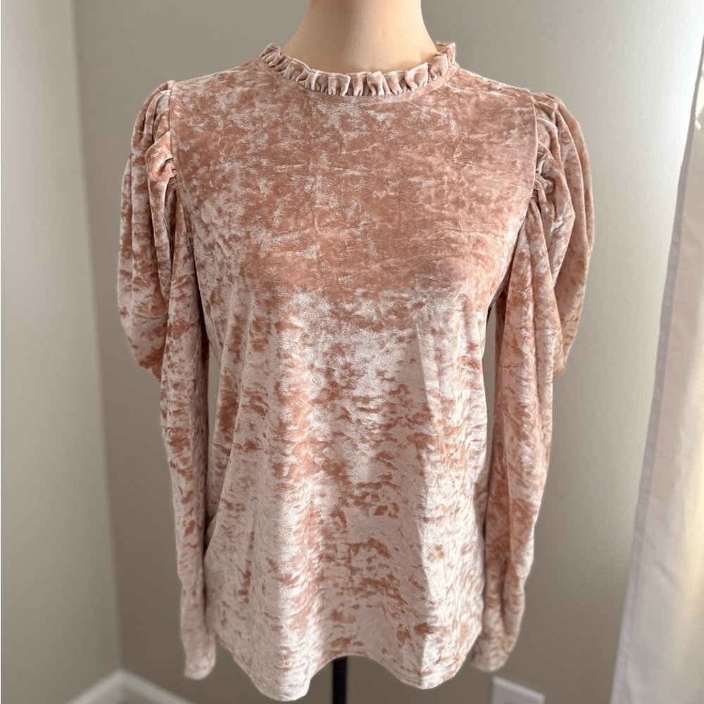 SHEIN Blush Crushed Velvet Puff-Sleeve Top